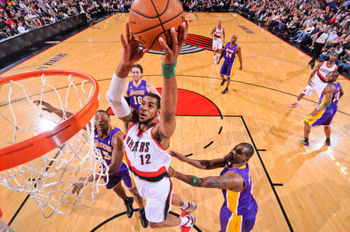 将决定他们 将决定他们