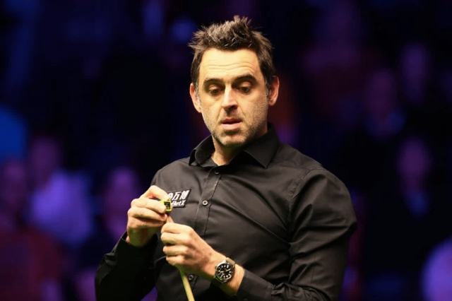 顶尖选手参 顶尖选手参